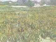 Vincent Van Gogh Wheat Field at Auvers with White House (nn04) oil